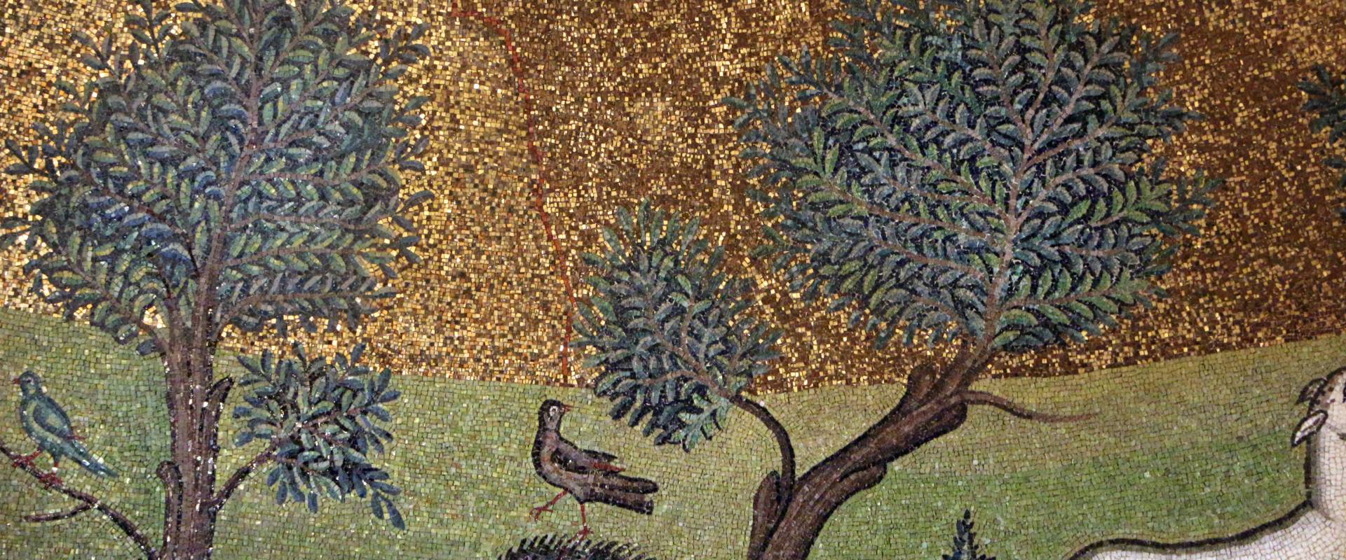 Sant'apollinare in classe, mosaici del catino, trasfigurazione simbolica, VI secolo, 08,1 alberi (con restauri) foto di Sailko